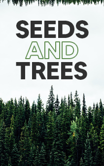 Seeds and Trees cover
